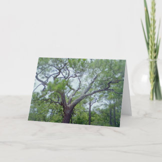 De gelukkige Dag van Vaders Kaart