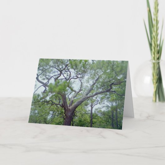 De gelukkige Dag van Vaders Kaart (Voorkant)