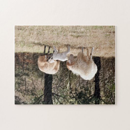 De gelukkige familie legpuzzel (Horizontaal)