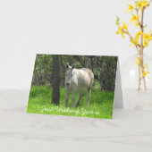 De gelukkige Foto van de Ezel van de Verjaardag Kaart (Gele Bloem)