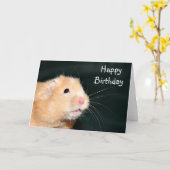 De gelukkige hamster van de Verjaardag Kaart (Gele Bloem)