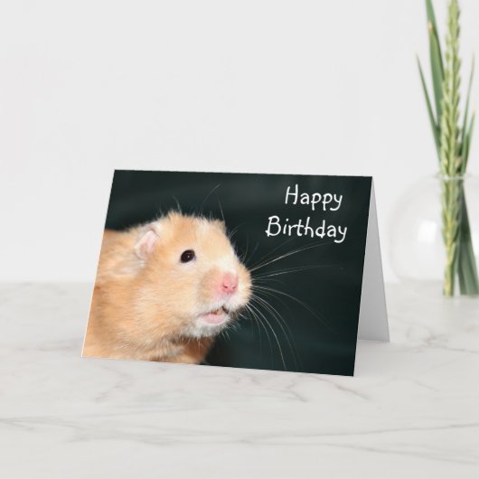 De gelukkige hamster van de Verjaardag Kaart (Voorkant)