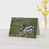 De gelukkige Kaart van de Eend van de Wilde eend (Gele Bloem)