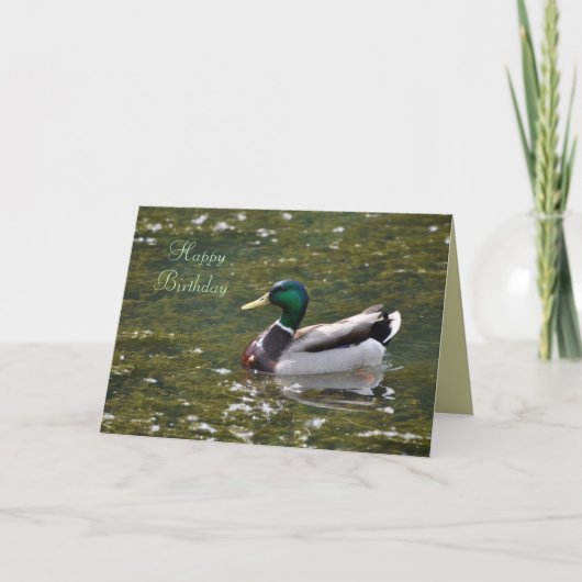 De gelukkige Kaart van de Eend van de Wilde eend (Voorkant)