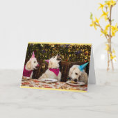 De gelukkige Kaart van de Foto van het Golden (Gele Bloem)