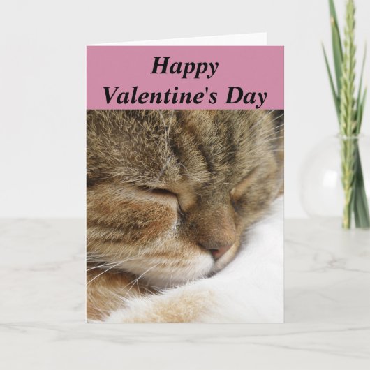 De gelukkige Kaart van de Kat van de Valentijnsdag (Voorkant)