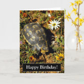 De gelukkige Kaart van de Schildpad van de (Gele Bloem)
