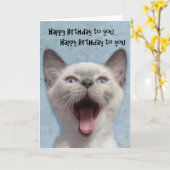 De gelukkige Kaart van het Katje van de Verjaardag (Gele Bloem)