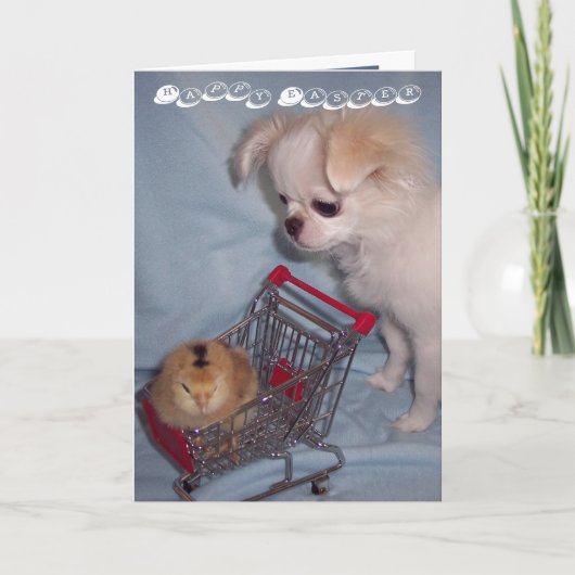 De gelukkige Kaart van het Puppy van Pasen (Voorkant)