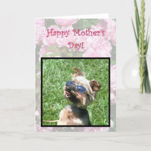 De gelukkige kaart van Yorskshire Terrier van het