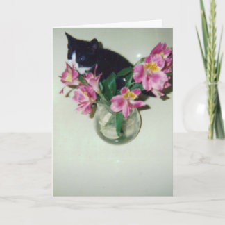 De gelukkige kat van de Verjaardag met bloemen in Kaart