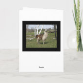 DE GELUKKIGE LLAMA Groet Kaart (Achterkant)