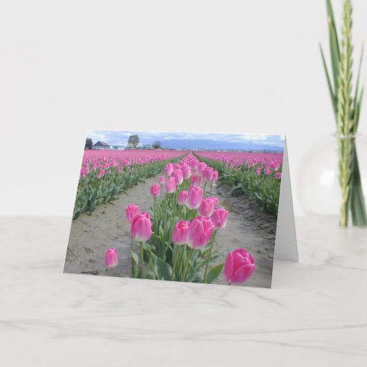 De gelukkige Roze Tulpen van de Lente Kaart (Voorkant)