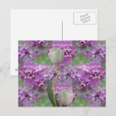 De gelukkige Seringen van Pasen ~ Feestdagenkaart (Voorkant / Achterkant)