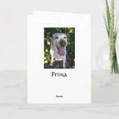 De gelukkige Spatie van Prima- van de Verjaardag Kaart (Achterkant)