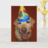 De gelukkige Spatie van Prima- van de Verjaardag Kaart (Gele Bloem)