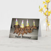 De gelukkige Tekkel van de Verjaardag Kaart (Gele Bloem)