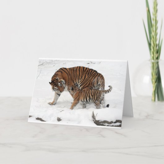 De gelukkige Tijger & de Welp van de Papa van de Kaart (Voorkant)