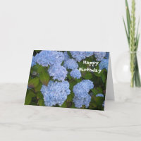 De Gelukkige Verjaardag van de hydrangea hortensia