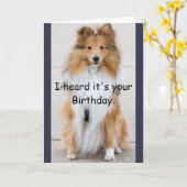 De Gelukkige Verjaardag van de Jaren van de hond Kaart (Gele Bloem)