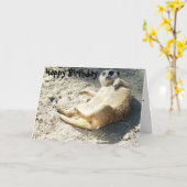 De Gelukkige Verjaardag van Merrkat Kaart (Gele Bloem)