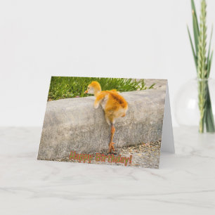 De GELUKKIGE Vogel van het Baby van de VERJAARDAG Kaart