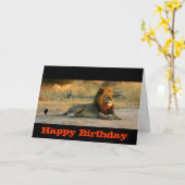 De gelukkige Zonsondergang van de Leeuw van de Kaart (Gele Bloem)