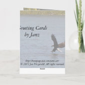 De gelukwensen afstuderen ~ Kaal Eagle Kaart (Achterkant)