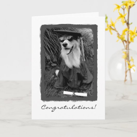 De Gelukwensen van afstuderen Kaart (Gele Bloem)