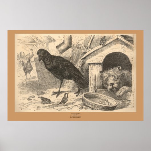 De Gemeenschappelijke Raven Poster (Voorkant)