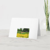 De gemengde Bloemen van de Tuin Kaart (Achterkant)