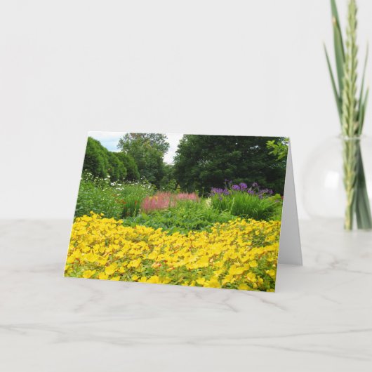 De gemengde Bloemen van de Tuin Kaart (Voorkant)