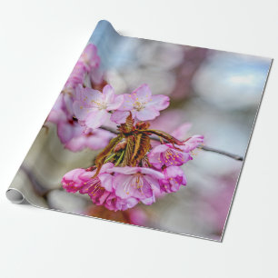 De gemuteerde schoonheid van Sakura Blossom Cadeaupapier