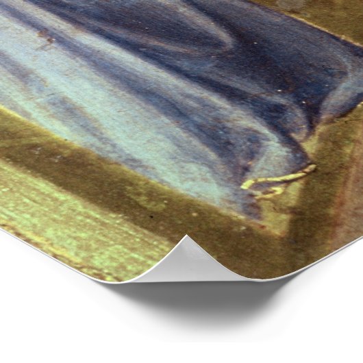 De genezing van Palladia Poster (Hoek)