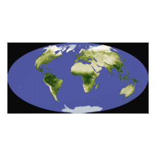 De genormaliseerde verschilvegetatie-index foto afdruk