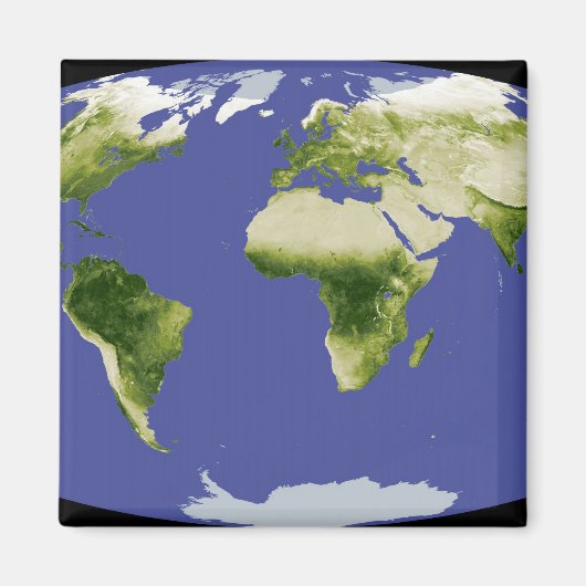 De genormaliseerde verschilvegetatie-index magneet (Voorkant)