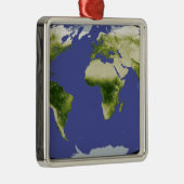 De genormaliseerde verschilvegetatie-index metalen ornament (Rechts)