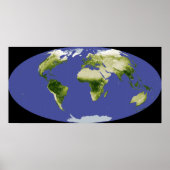 De genormaliseerde verschilvegetatie-index poster (Voorkant)