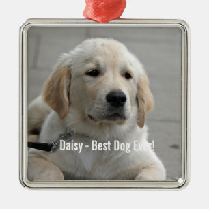 De gepersonaliseerde Foto en de Naam van de Hond Metalen Ornament