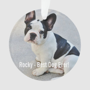 De gepersonaliseerde Foto van de Buldog en de Naam Ornament