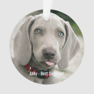 De gepersonaliseerde Foto van de Hond Weimaraner Ornament