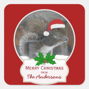 De Gepersonaliseerde Kerst stickers van de