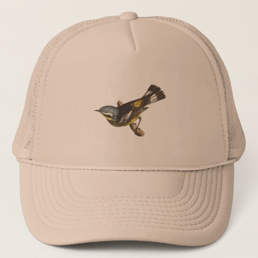 De gepotte Warbler (Sylvicola maculosa) Trucker Pet (Voorkant)