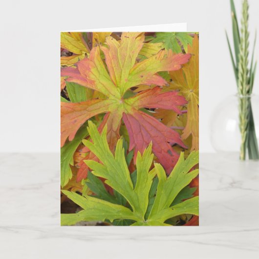 De Geranium van de herfst Kaart (Voorkant)