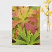 De Geranium van de herfst Kaart (Gele Bloem)