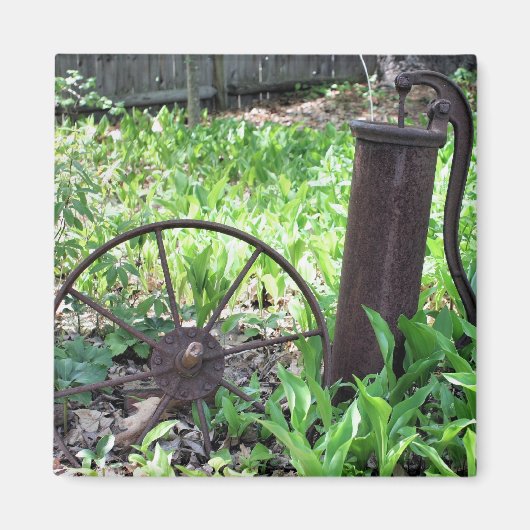 De geroeste Magneet van de Natuur van de Tuin van (Voorkant)