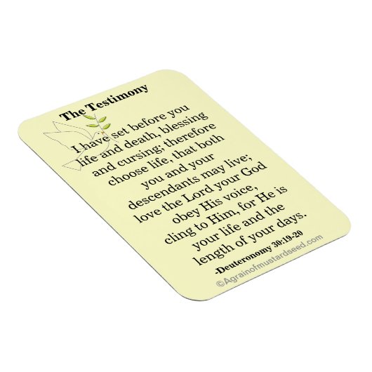 De geschetsscriptie magneet (Rechterzijde)