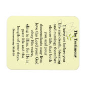 De geschetsscriptie magneet (Horizontaal)