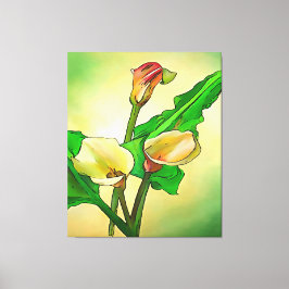 De geschetste Calla Lilies tegen een groene Ombre Canvas Afdruk