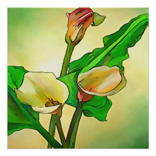 De geschetste Calla Lilies tegen een groene Ombre Perfect Poster